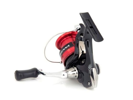 Shimano Sienna 1000 - immagine 3